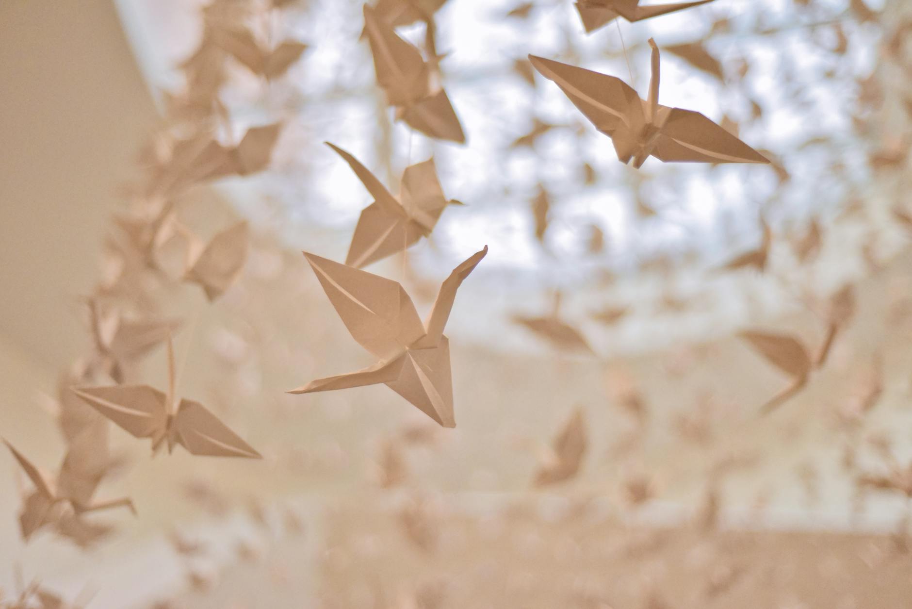 What’s Your Impossible? (Don’t tell me you’re a master of origami!)