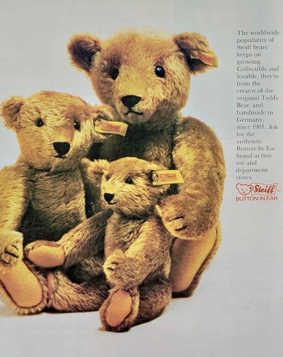 Vintage Steiff bear ad.